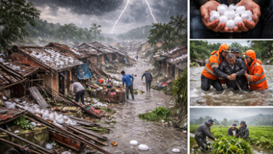 Vietnam storm disaster causing heavy damage to homes and infrastructure