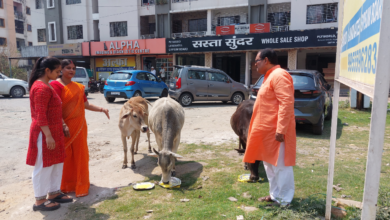 INSIGHT volunteers feeding stray dogs during Ram Navami in Dhanbad